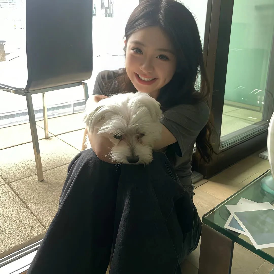 哈莉·奎茵第三季