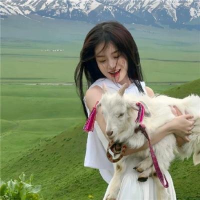 爱爱囧事2